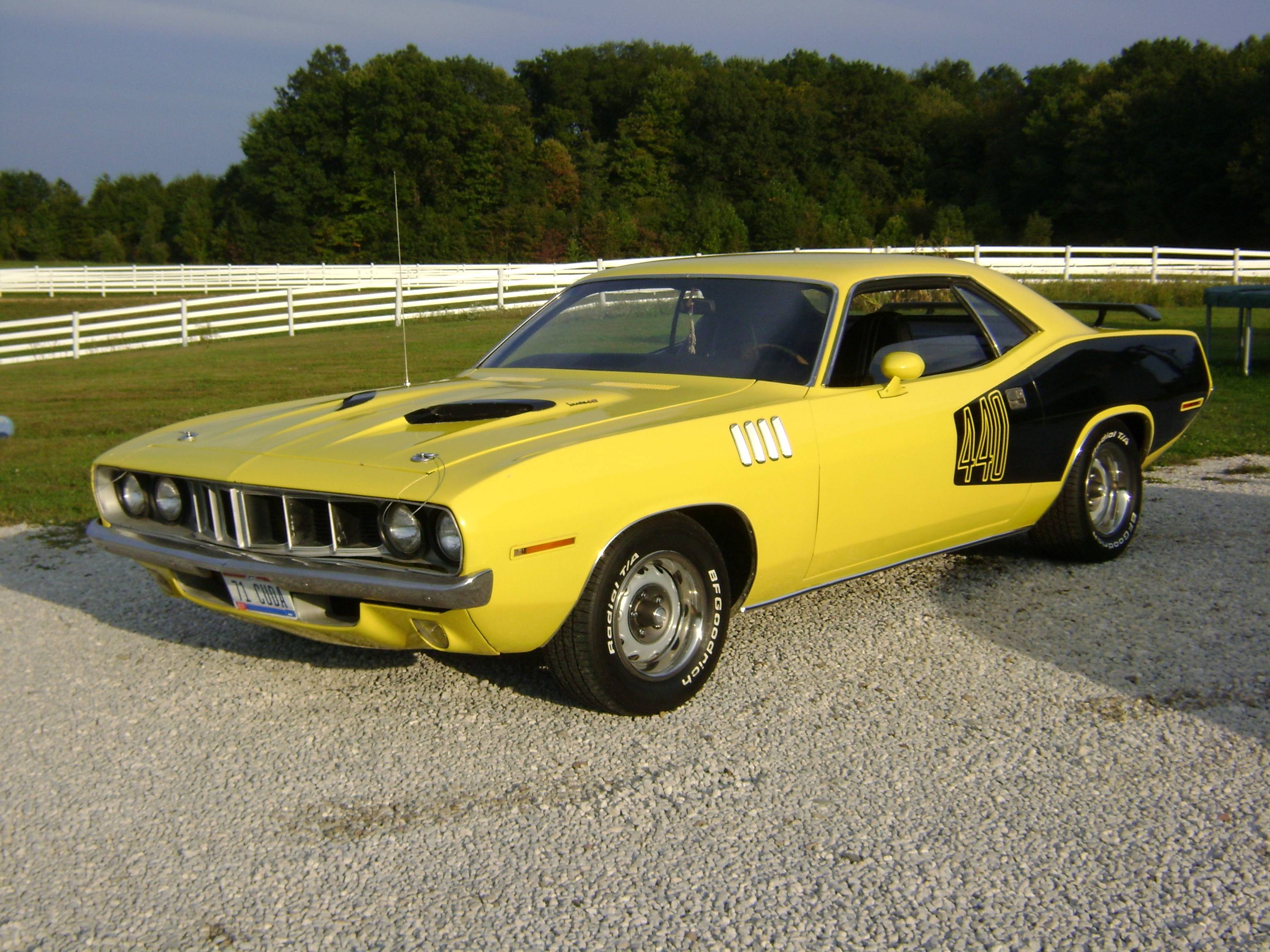Cuda 2008 002.jpg