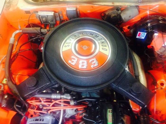 Cuda 383.jpg