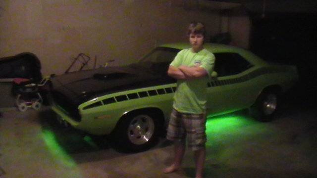 cuda 5.jpg