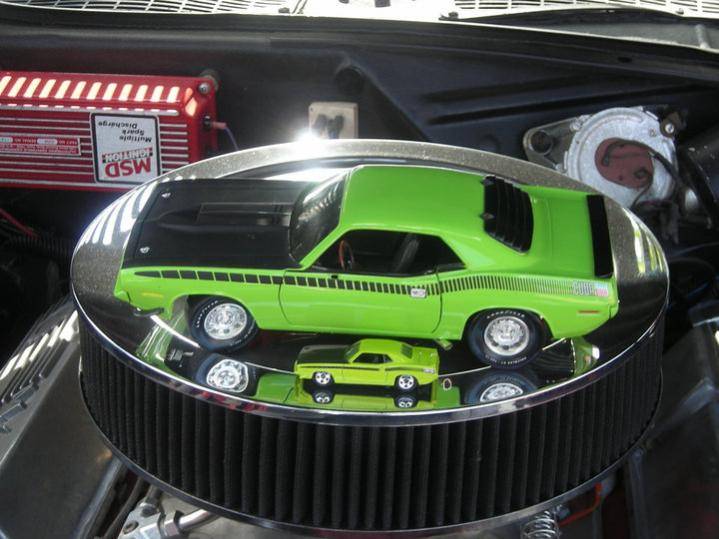 cuda 6.jpg