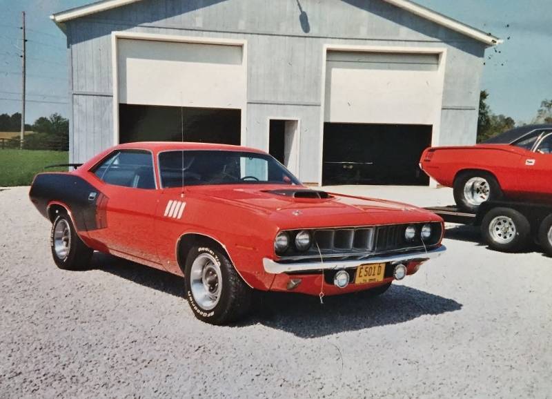 cuda (800x578).jpg