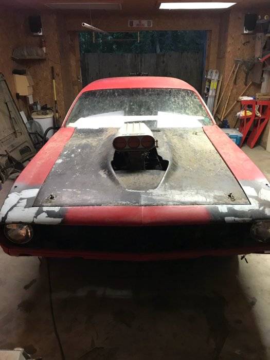 Cuda in Shop 2.jpg