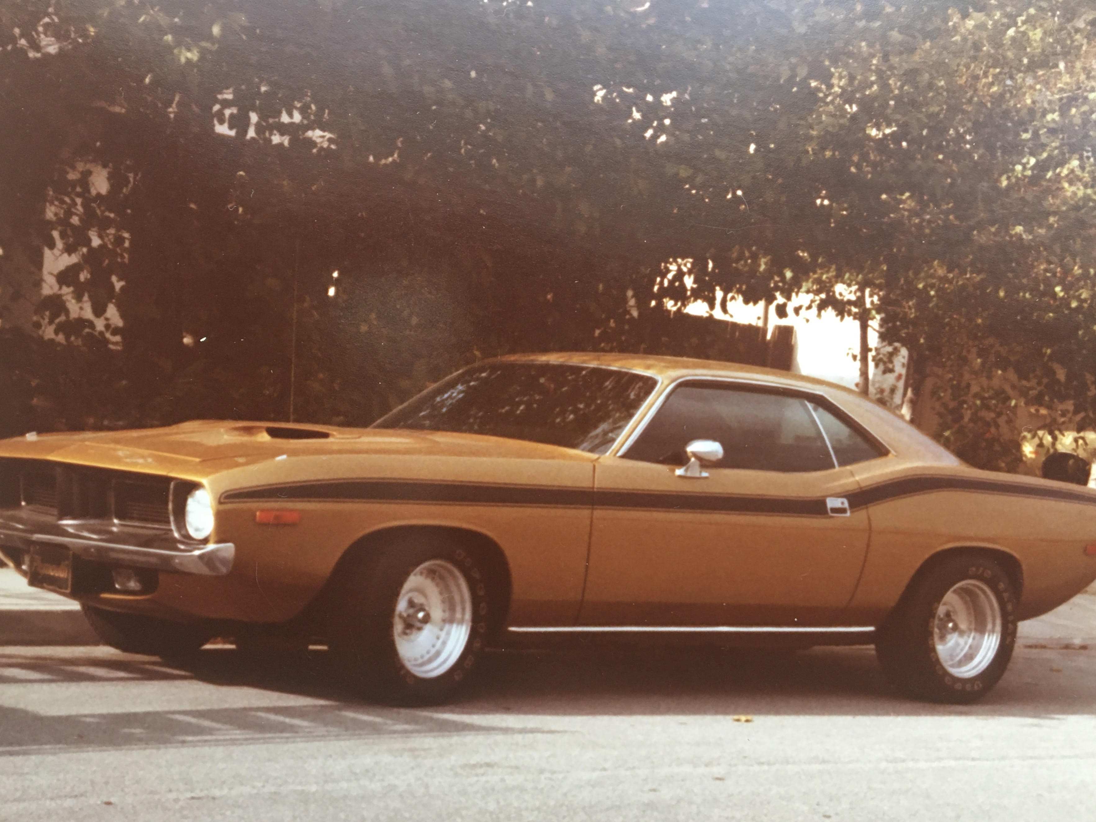 cuda.jpg