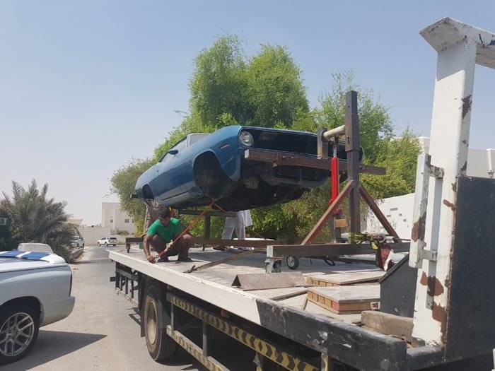 cuda leave.jpg