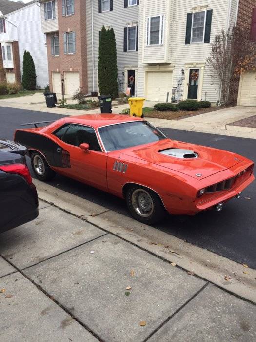 Cuda pic.JPG