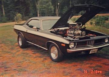 cuda resize (2).jpg