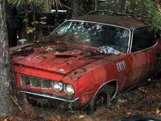 cuda sad.jpg