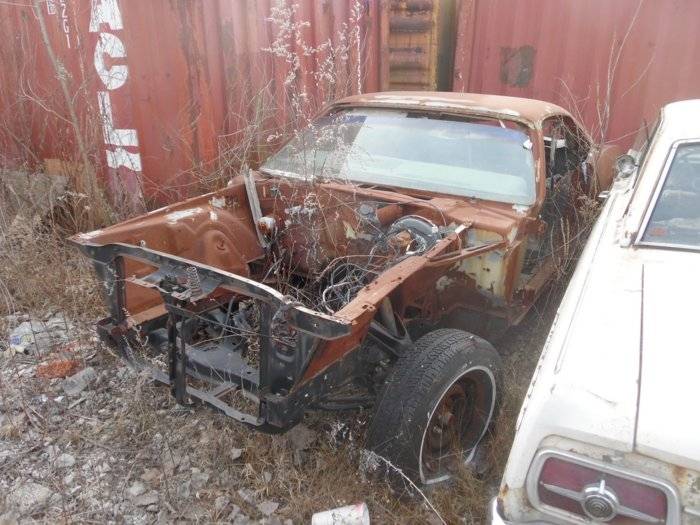 Cuda shell on ebay.jpg
