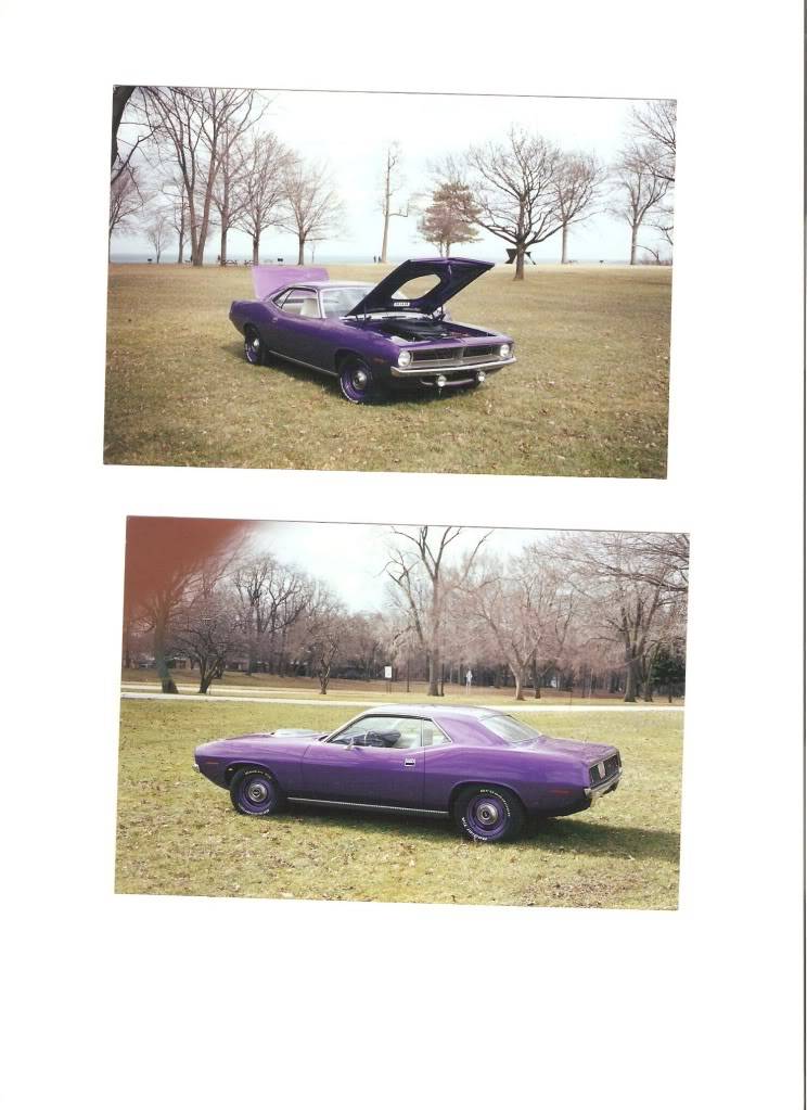 Cuda001.jpg