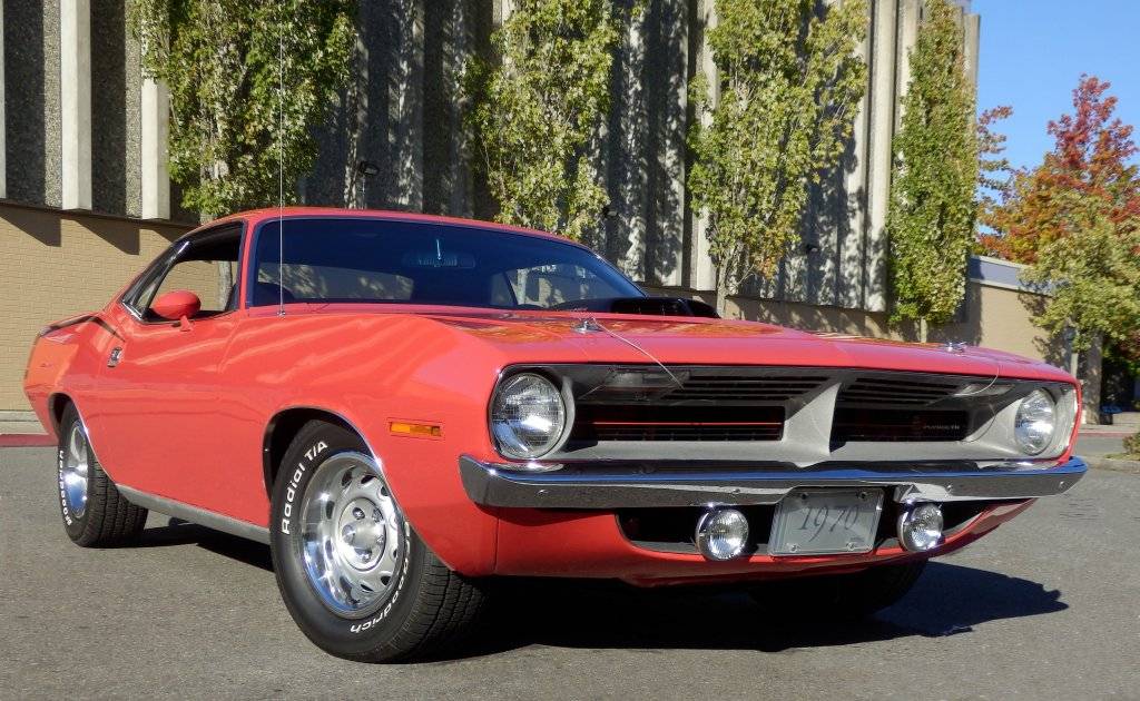 Cuda043.jpg