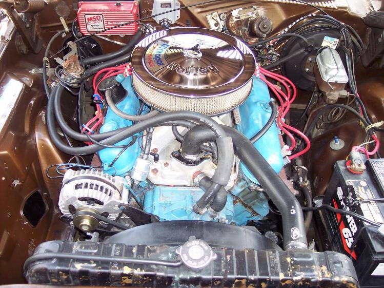 cuda2 028.jpg