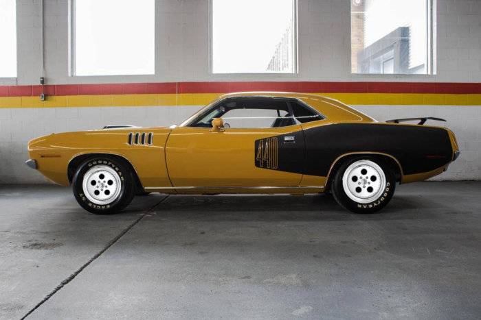 Cuda_edited-1.jpg