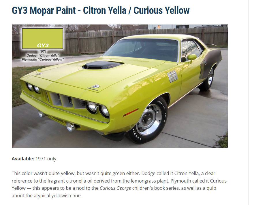 Curious Yellow.jpg