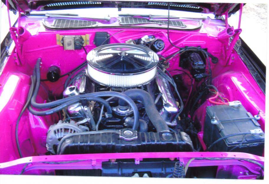 Darcies Cuda 005.jpg