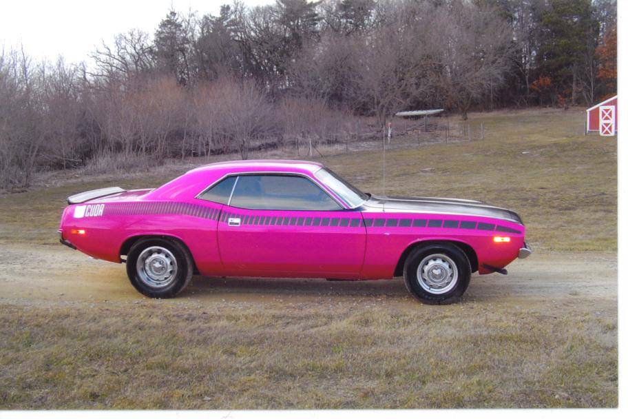 Darcies Cuda.jpg