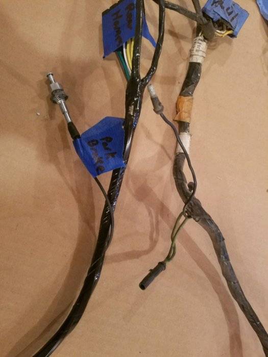 Dash harness.jpg