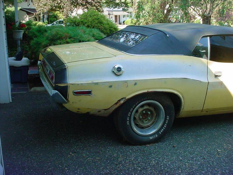 Dino rt rear quarter 8-15 (2).jpg