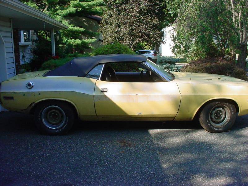 Dino rt side view 8-15.jpg