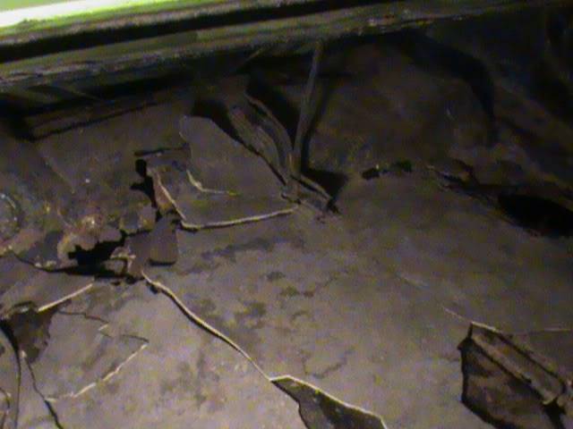 DSC00031.jpg