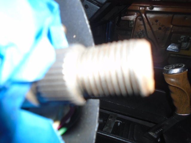 DSC00484.JPG