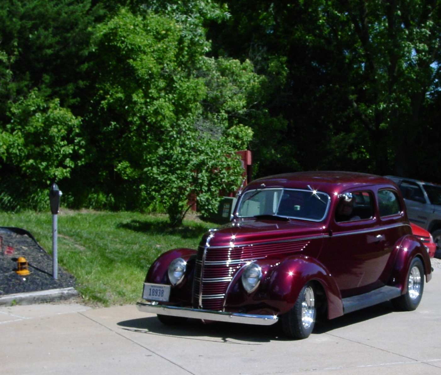 DSC01073 crop-crop.JPG