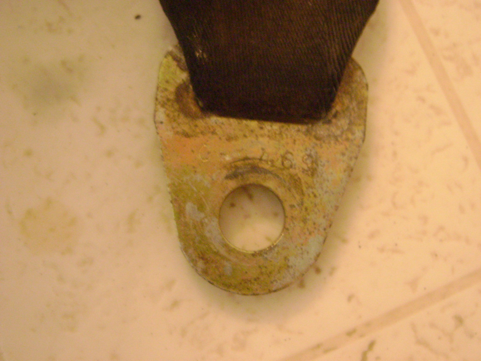 DSC06100.JPG