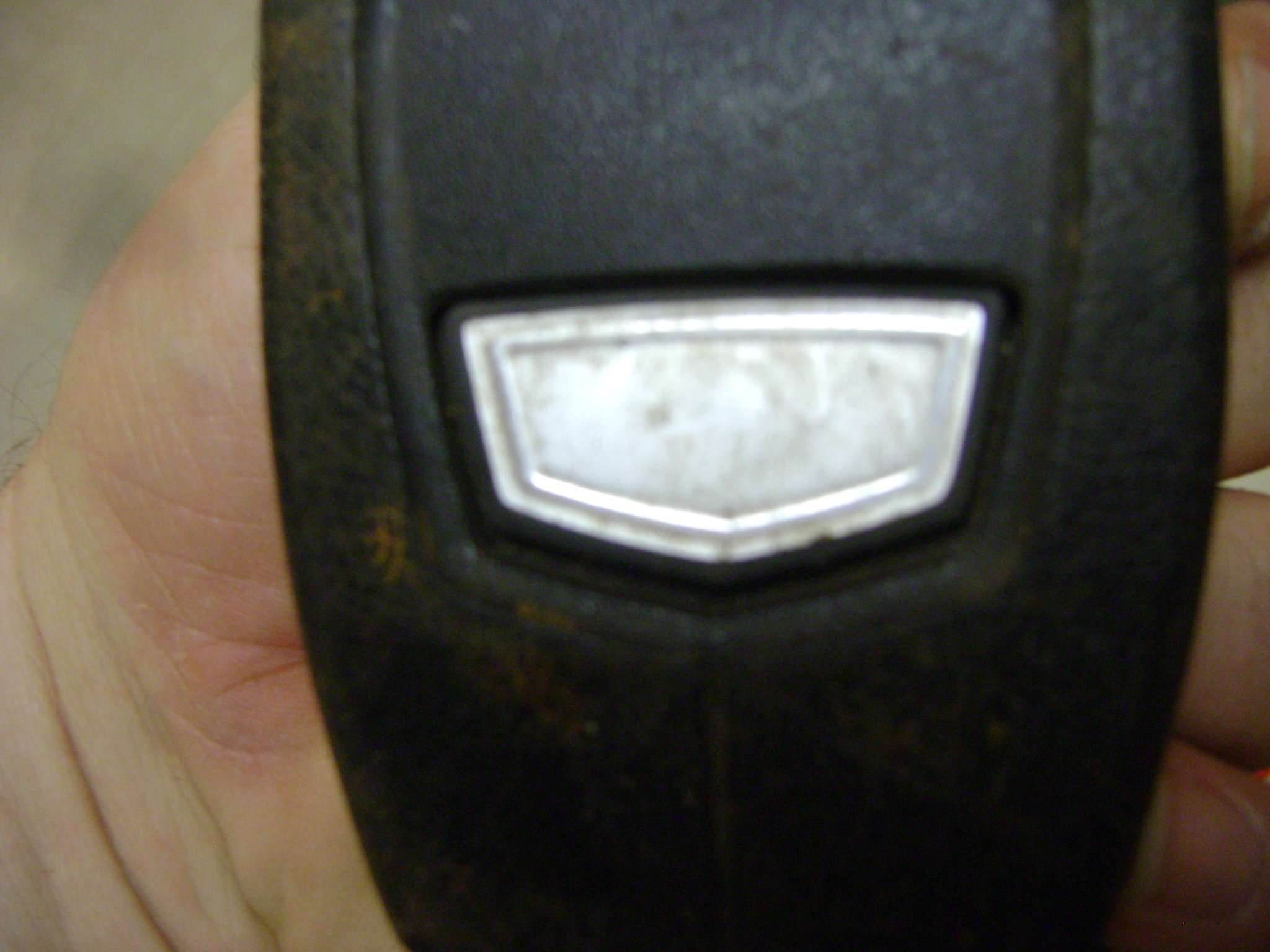DSC06116.JPG