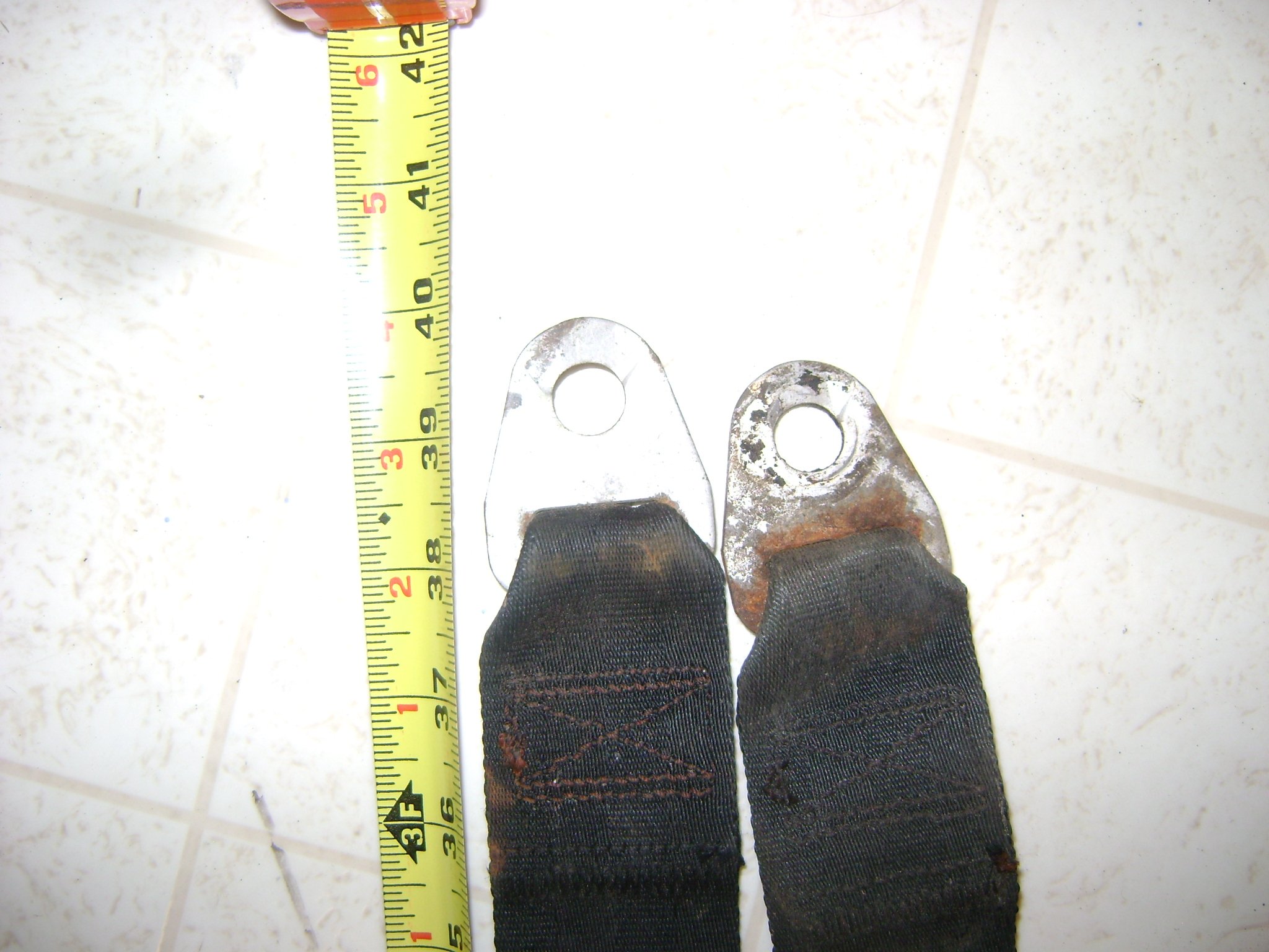 DSC06133.JPG