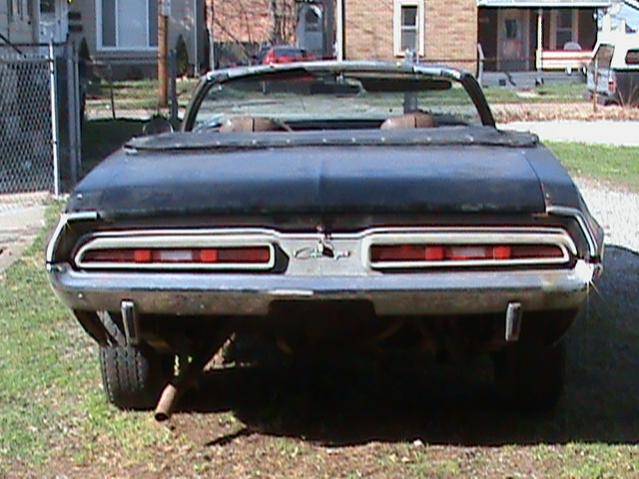 DSC06145.jpg