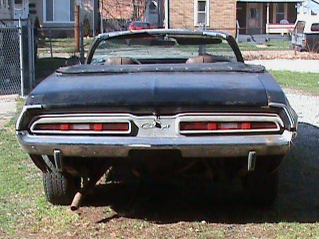 DSC06146.jpg