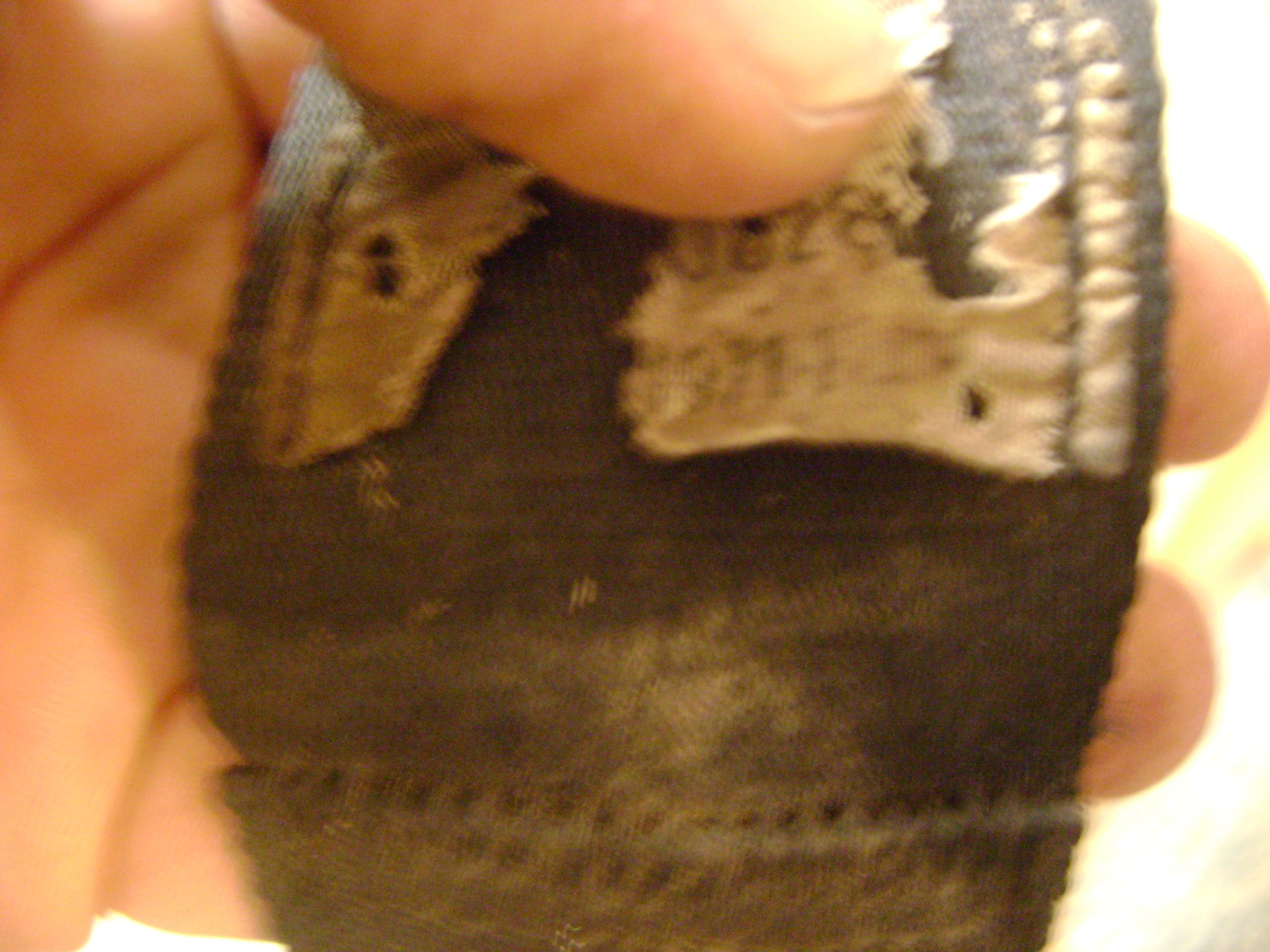 DSC06147.JPG