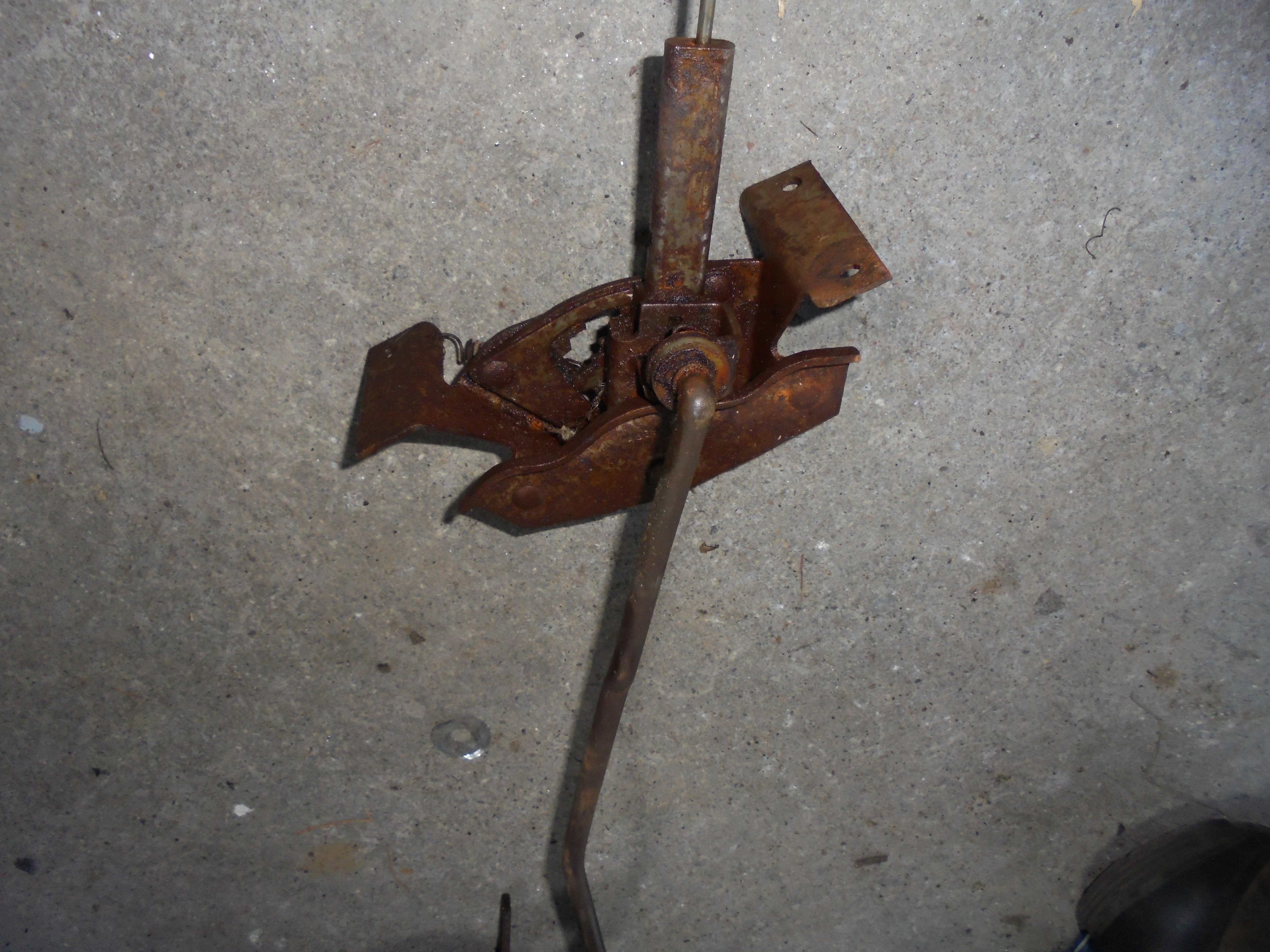 DSC08950.JPG