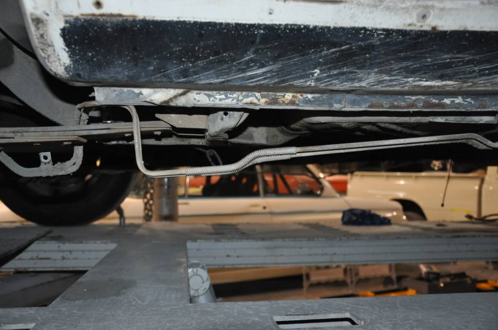 DSC_10085.JPG