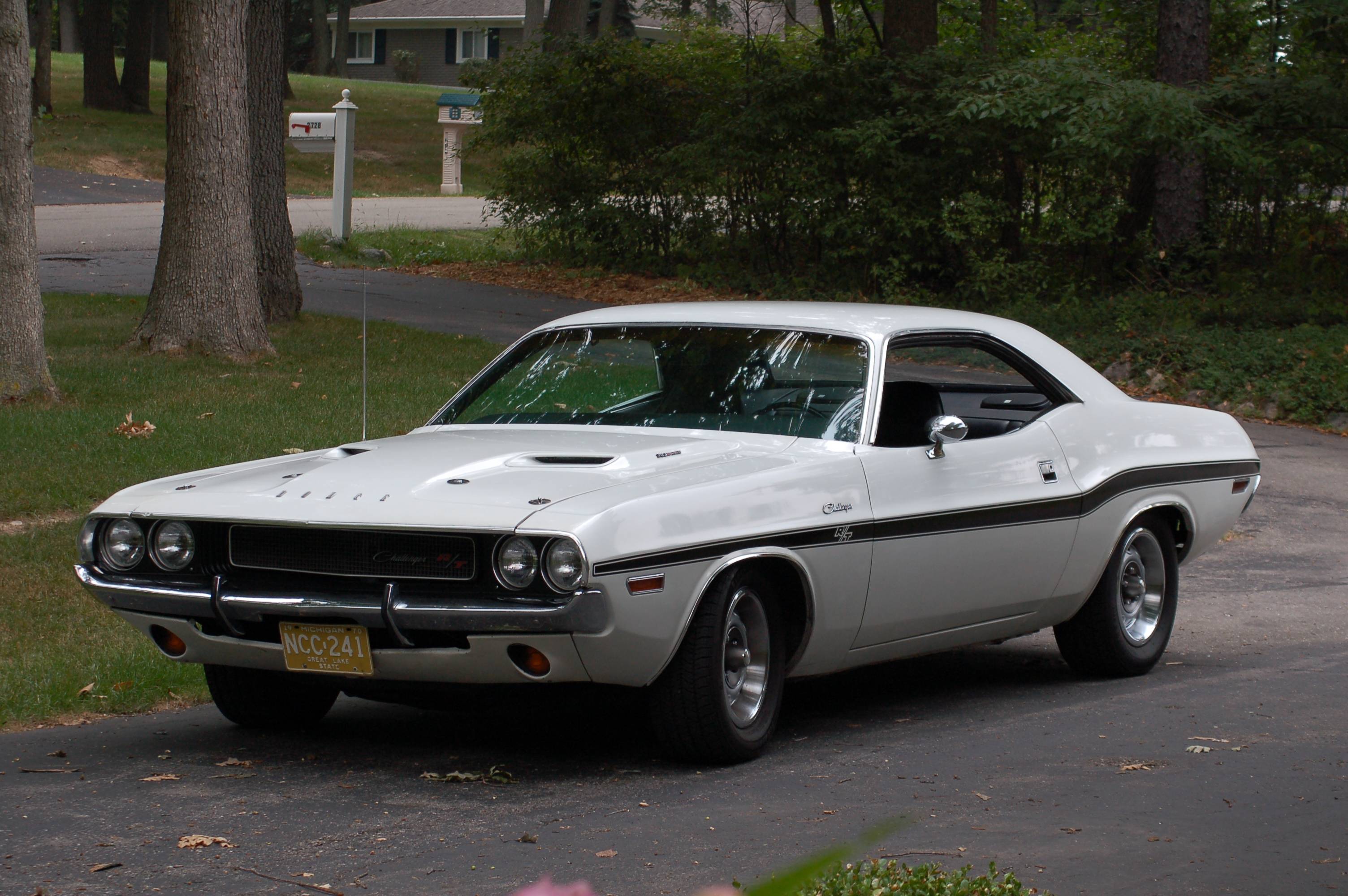 DSC_1384.JPG
