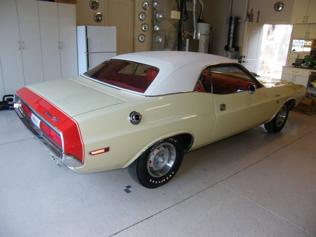 DSCF0003 (Medium).JPG