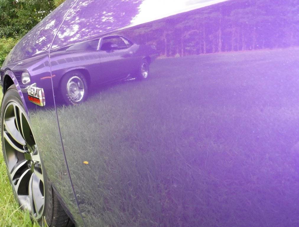 DSCF3032.JPG