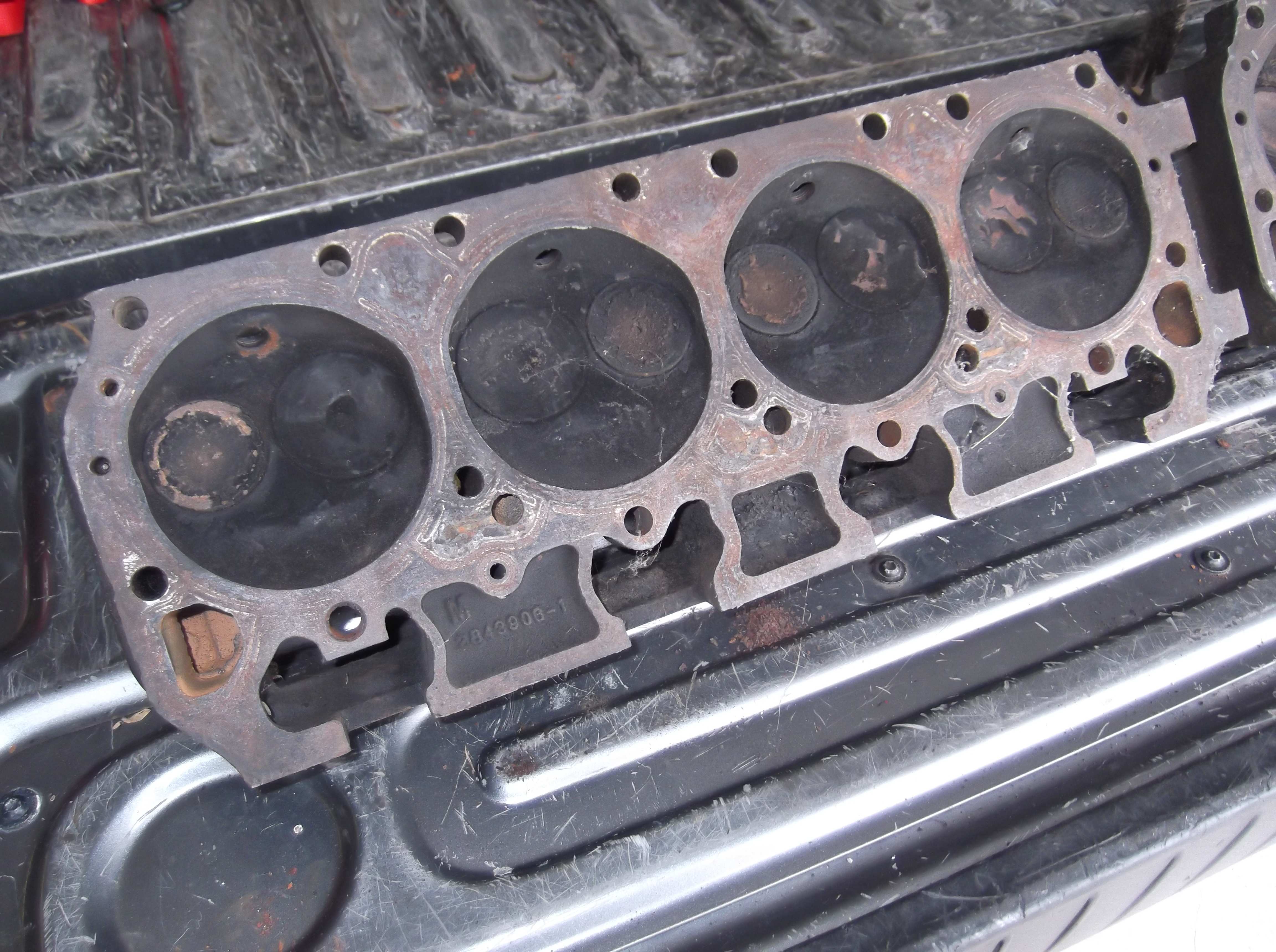 DSCF8172.JPG