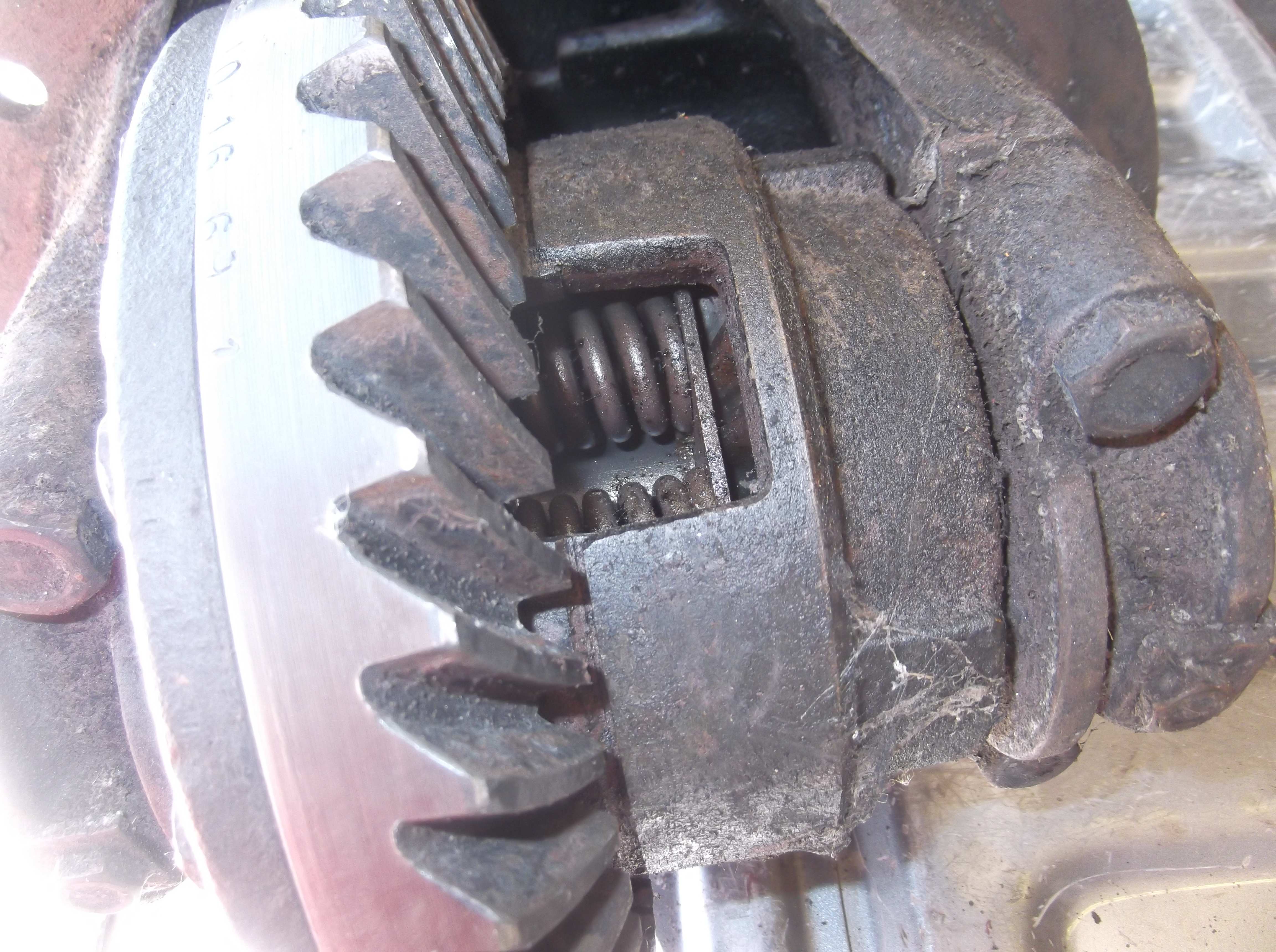 DSCF8182.JPG