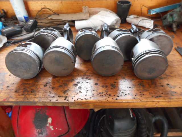 DSCN0984.JPG