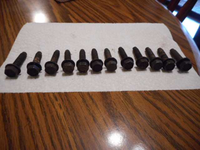 DSCN1328.JPG