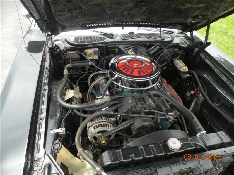 DSCN2126 (Medium).jpg