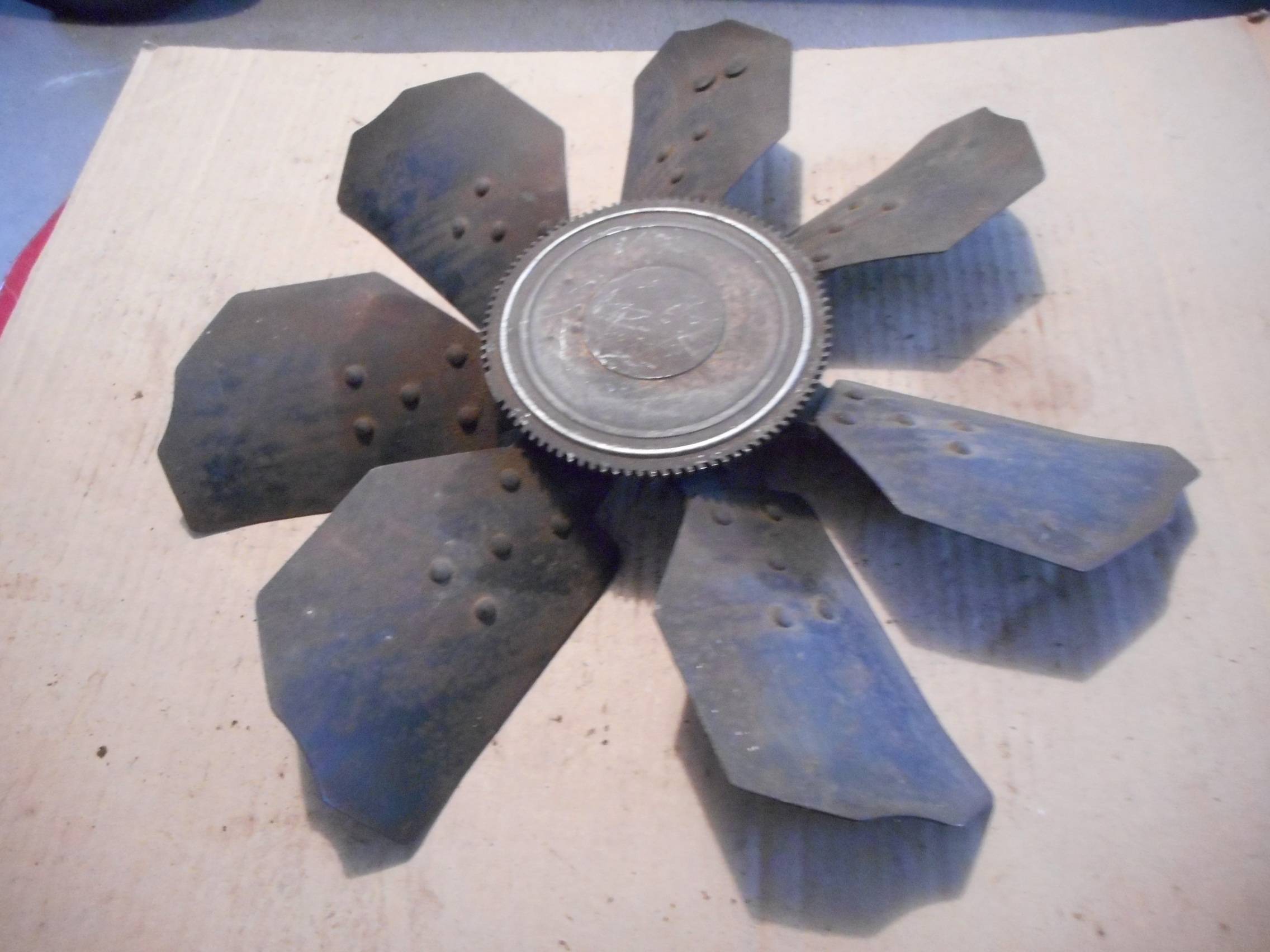 DSCN6276.JPG