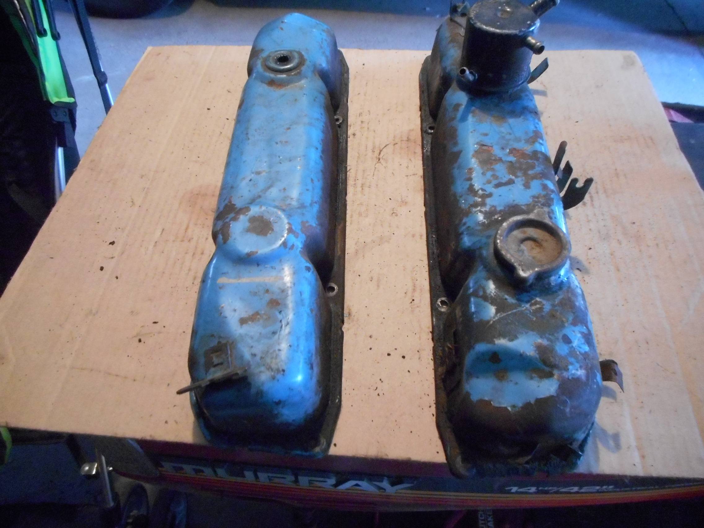 DSCN6550.JPG