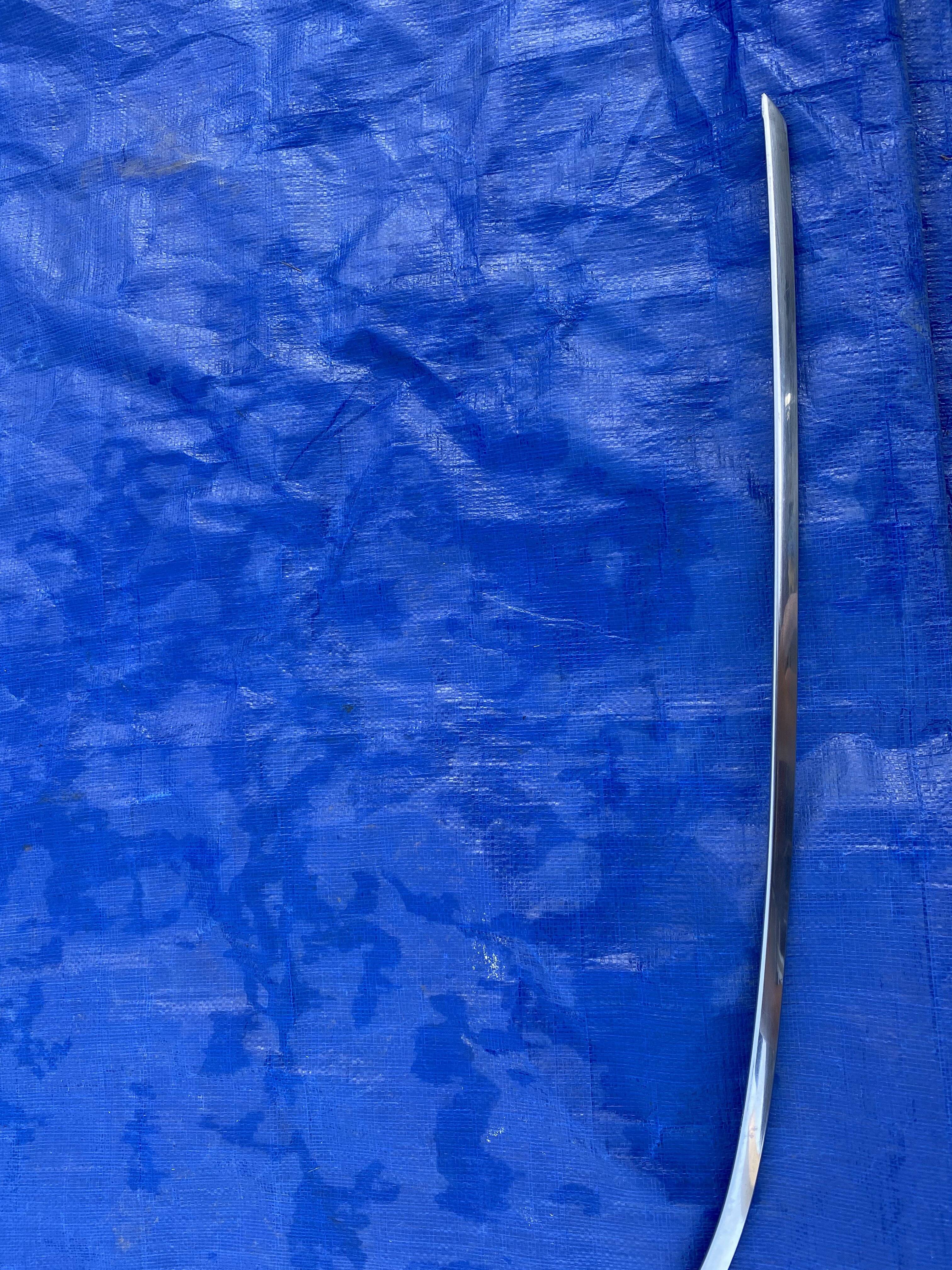 E-Body Vinyl Top Molding 2.jpg