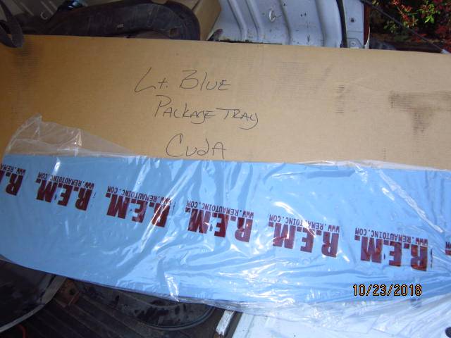 ebody parts part 2 001.JPG