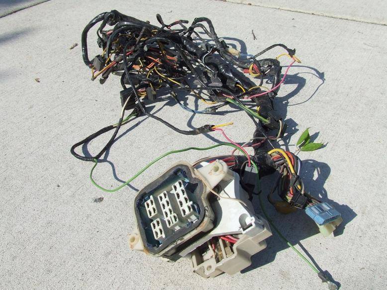 Ebody Std Main Harness2.jpg