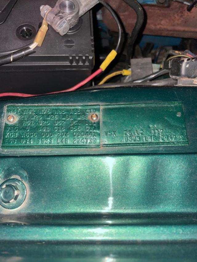 fender tag.jpg