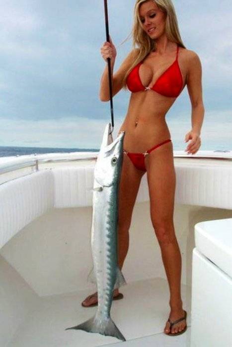 fish 3.jpg