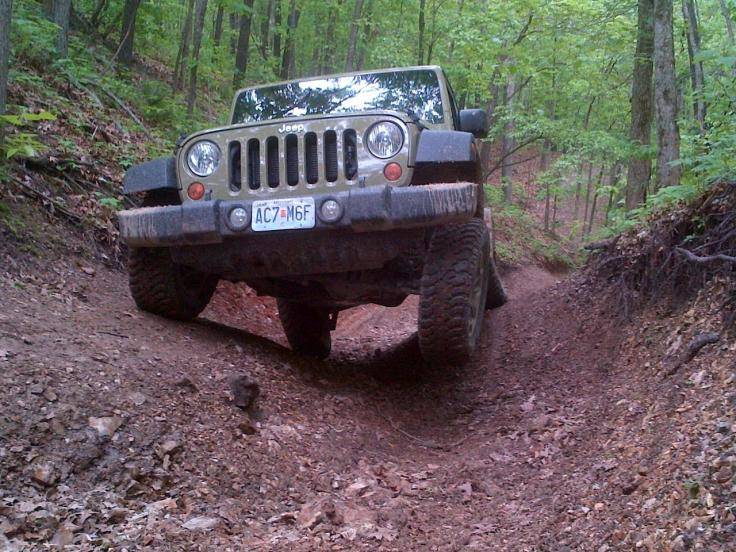 Flexy.jpg
