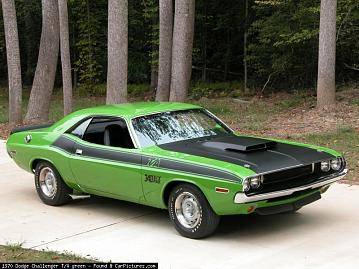 Go Green TA.jpg